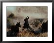 Cowboy Roping Horse by Bob Trehearne Limited Edition Print