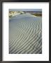 Dunes, Cumberland Island National Seashore by David Wasserman Limited Edition Print