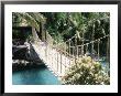 Rope Bridge, Acapulco, Mexico by Barry Winiker Limited Edition Pricing Art Print