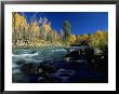 Running Stream Near Fall Foliage, Hermosa, Co by Jim Vitali Limited Edition Print