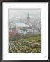View Of Alsatian Wine Village, Riquewihr, Haut Rhin, Alsace, France by Walter Bibikow Limited Edition Print