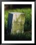 A Civil War Era Gravestone Marked Unknown by Kenneth Garrett Limited Edition Print