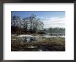 Spring Morning, South Finland by Heikki Nikki Limited Edition Pricing Art Print