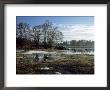 Spring Morning, South Finland by Heikki Nikki Limited Edition Print