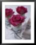 Table Decoration Of Red Roses In Glasses by Michael Paul Limited Edition Pricing Art Print