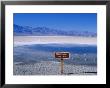 Salt Flats Badwater Death Valley, California, Nevada, Usa by Nigel Francis Limited Edition Print