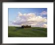 Countryside Near Montalcino, Siena Area, Tuscany, Italy, Europe by Nico Tondini Limited Edition Pricing Art Print