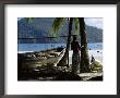 Fisherman, Maracas Bay, Northern Coast, Trinidad, West Indies, Central America by Aaron Mccoy Limited Edition Print