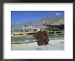 Two Tibetan Buddhist Monks At Jokhang Temple, With The Potala Palace Behind, Lhasa, Tibet, China by Sybil Sassoon Limited Edition Print