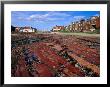 Seaside Resort Town At Low Tide North Berwick, East Lothian, Scotland by Glenn Beanland Limited Edition Print