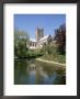 Wells Cathedral, Wells, Somerset, England, United Kingdom by Philip Craven Limited Edition Print