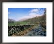 White Moss Common, Rydal, Lake District, Cumbria, England, United Kingdom by Neale Clarke Limited Edition Print