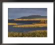 Autumn Colours, Laponia, Unesco World Heritage Site, Lappland, Sweden, Scandinavia by Gavin Hellier Limited Edition Print