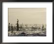 Snow Storm, Blizzard, Churchill, Hudson Bay, Manitoba, Canada by Thorsten Milse Limited Edition Print