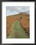 The Sugar Loaf, In Autumn, Black Mountains Near Abergavenny, Monmouthshire, Wales by David Hunter Limited Edition Print