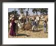 Camel Market, Darwa, Egypt, North Africa, Africa by Doug Traverso Limited Edition Pricing Art Print
