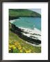 Irish Summer Colours, Slea Head, Dingle Peninsula, County Kerry, Republic Of Ireland (Eire) by D H Webster Limited Edition Print