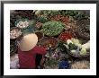 Vegetable Market, Hue, Vietnam by Keren Su Limited Edition Print