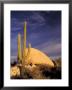 Cardon Cactus, Catavina Desert National Reserve, Baja Del Norte, Mexico by Gavriel Jecan Limited Edition Print