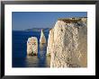 Handfast Point, Clifftop View Showing The Pinnacles, Early Morning, Studland, Dorset, England by Ruth Tomlinson Limited Edition Pricing Art Print