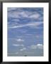 Grasslands With Lone Acacia Tree Under A Cloud-Filled Sky by Michael Melford Limited Edition Print