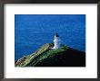 Cape Reinga Lighthouse On Northern Tip Of New Zealand, New Zealand by Grant Dixon Limited Edition Print