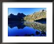 Cradle Mountain And Lake Dove, Cradle Mountain-Lake St. Clair National Park, Tasmania, Australia by Grant Dixon Limited Edition Print