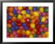 Jelly Beans, Washington, Usa by Jamie & Judy Wild Limited Edition Print