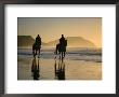 Horse Riding On The Beach At Sunrise, Gisborne, East Coast, North Island, New Zealand, Pacific by D H Webster Limited Edition Print