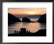 Jackass Penguins (African Penguins) (Speniscus Demersus), Boulder's Beach, Cape Town, South Africa by Thorsten Milse Limited Edition Print