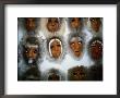 Traditional Caribou Masks In Eskimo Village, Gates Of Arctic National Park, Anaktuvuk Pass, Usa by Lee Foster Limited Edition Pricing Art Print