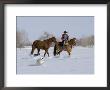 Cowboy Leading Sorrel Quarter Horse Geldings, With Two Mixed Breed Dogs, Longmont, Colorado, Usa by Carol Walker Limited Edition Print