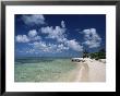 Palm-Fringed Beach, Cayman Kai, Grand Cayman, Cayman Islands, West Indies, Central America by Ruth Tomlinson Limited Edition Print