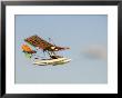 Microlight (Ultralight) Airplane, Florida, Usa by R H Productions Limited Edition Pricing Art Print