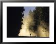 Mountain Biker On A Dusty Road, Swan Valley, Montana, Usa by Chuck Haney Limited Edition Print