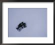 A Black Glove Contrasts With The Falling Snow Starting To Cover It by Stephen St. John Limited Edition Print