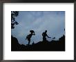 Gold Miners At Work In Gabons Minkebe Forest by Michael Nichols Limited Edition Print