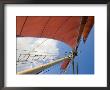 Red Sails On Sailboat That Takes Tourists Out For Sunset Cruise, Key West, Florida, Usa by Robert Harding Limited Edition Print
