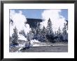 Geothermal Steam, Frosted Trees And Snow-Free Hot Ground In Norris Basin In Winter, Wyoming, Usa by Anthony Waltham Limited Edition Print