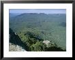 Eucalyptus Oil Haze Causes Blueness Above Dense Gum Tree Forest In The Blue Mountains National Park by Robert Francis Limited Edition Print