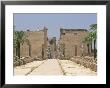 Avenue Of Sphinxes Looking Towards Statues Of Ramses Ii, Luxor Temple, Luxor, Thebes, Egypt by Gavin Hellier Limited Edition Print