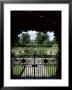 Sunken Garden, Kensington Gardens, London, England, United Kingdom by Nelly Boyd Limited Edition Print