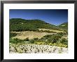 Corbiere Vineyards Near Durban, Languedoc-Roussillon, France by Michael Busselle Limited Edition Print