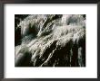 A Cascading Waterfall At The Chicago Botanic Garden by Paul Damien Limited Edition Pricing Art Print