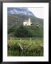 Church And Vines At Missiano, Caldero Wine District, Bolzano, Alto Adige, Italy by Michael Newton Limited Edition Print