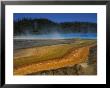 Steam Rises From A Hot Spring With Algae Growing Along The Edges by Raymond Gehman Limited Edition Print