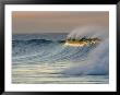 Big Waves Breaking At Sunrise At Emma Woods State Beach, California by Rich Reid Limited Edition Print