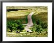 Cars On Wildlife Loop, Custer State Park, Black Hills, South Dakota by Richard Cummins Limited Edition Print