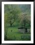 Cyclist Rides Past An Old Barn And Fruit Trees In A Spring Rain by Skip Brown Limited Edition Pricing Art Print