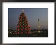 The National Christmas Tree With The Washington Monument In Back by Karen Kasmauski Limited Edition Print